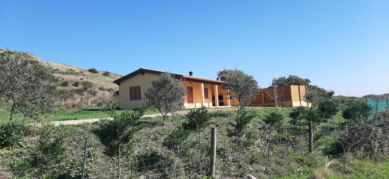 Villa Marci Con Piscina Privata A Nulvi מראה חיצוני תמונה